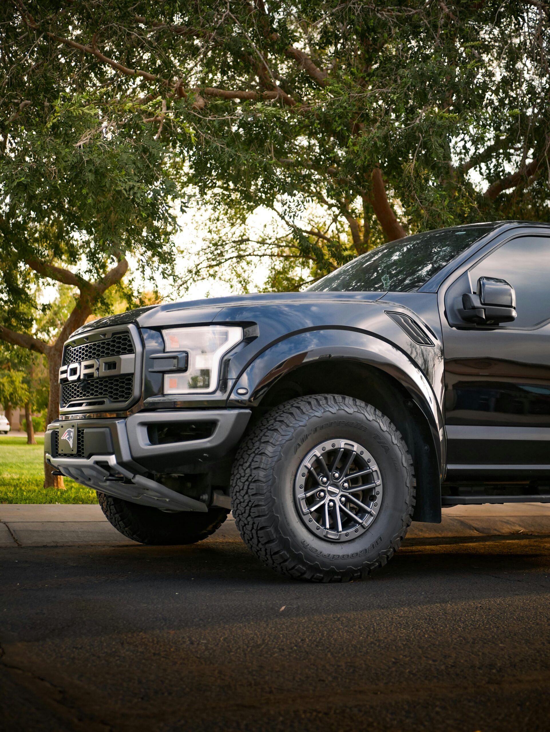 A rugged black pickup truck parked under trees, exuding strength and adventure.